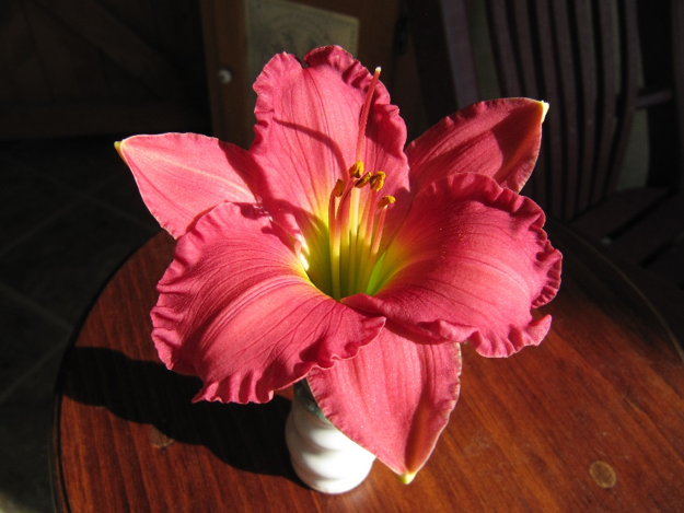 Using Bud Vases to Deliver Big Impact