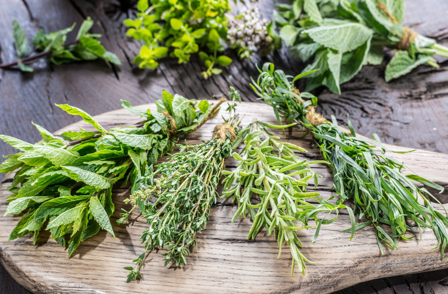 How to Harvest and Use Fresh Garden Herbs