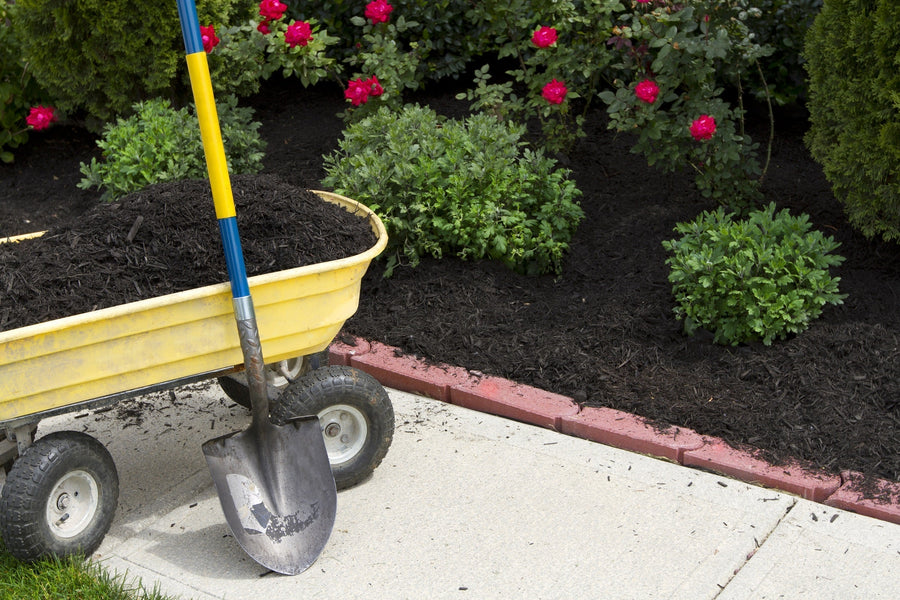 Mulch Your Way To a Happier Healthier Garden