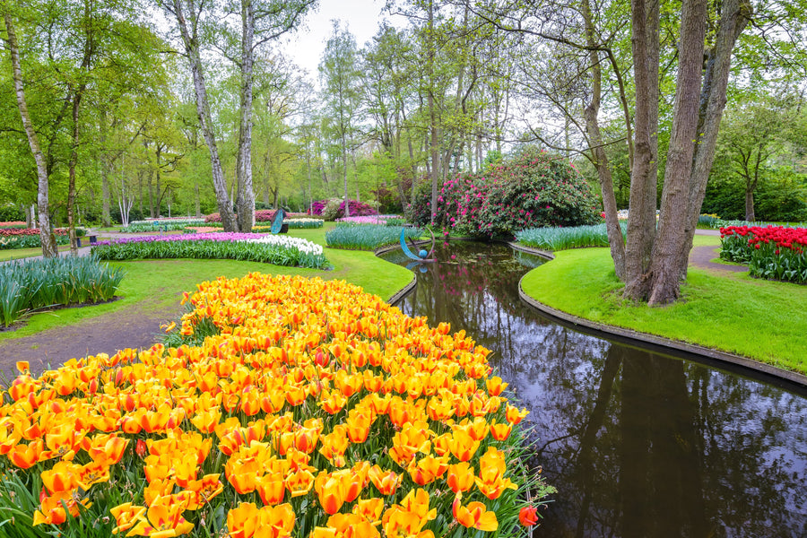 Spring Gardening Questions and Answers