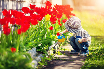 Caring For Spring Flowering Bulbs