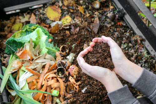 Kickstart Composting: Transform Your Scraps into Soil Magic