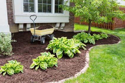 Tips for Success with Mulching