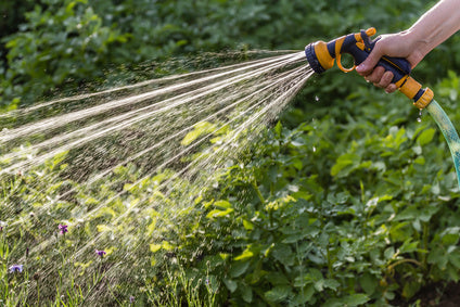 Spending Too Much Time Watering?