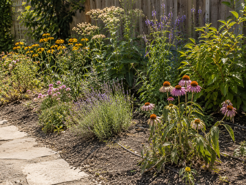 What’s Actually Happening to Your Plants in Summer Heat — And What to Do About It