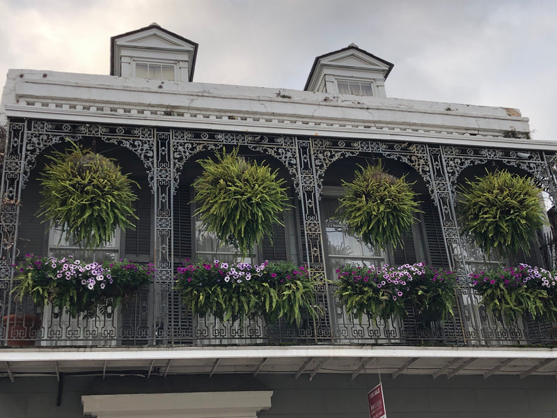 A Tour of New Orleans