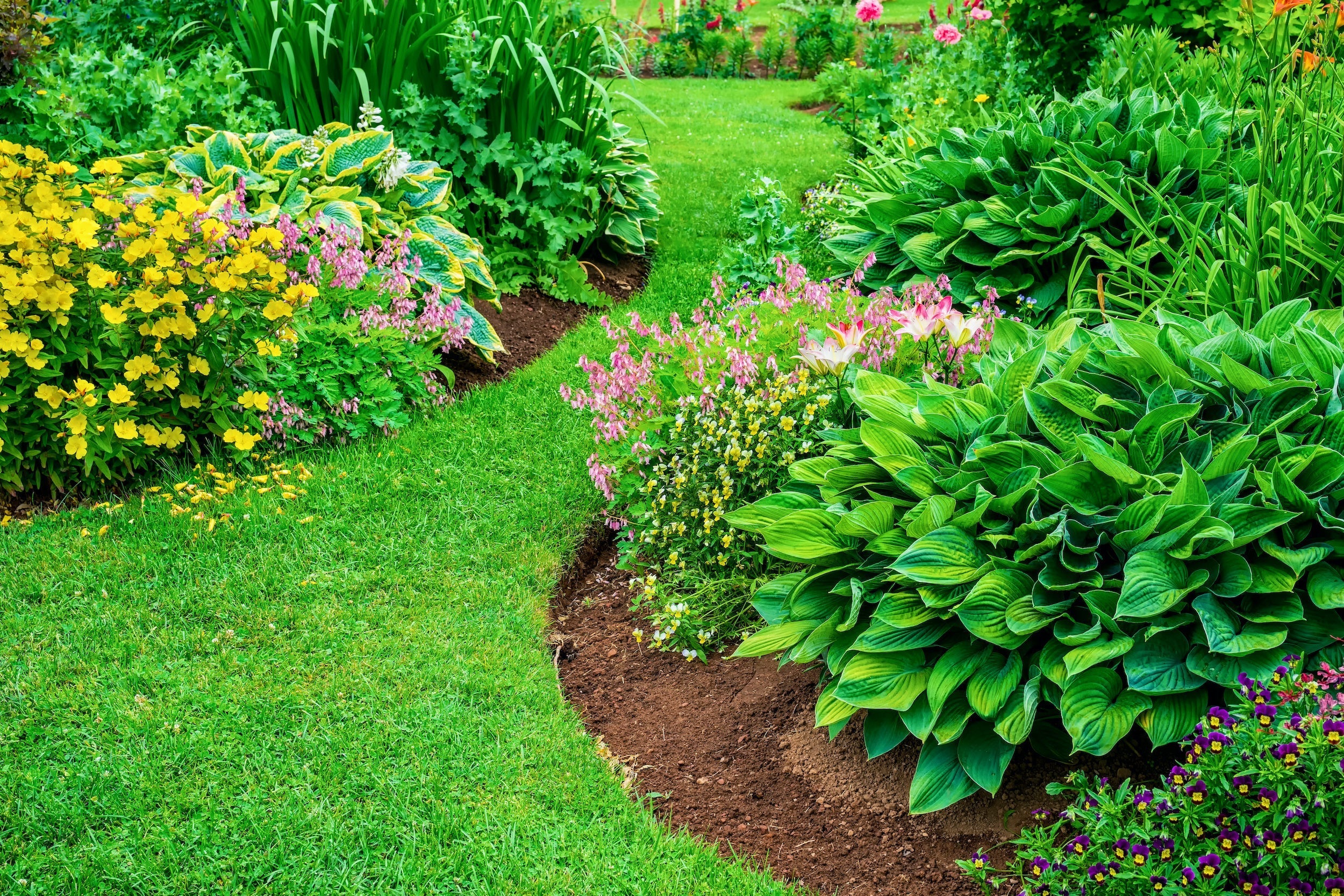 Easy Steps to Create a Stunning New Garden Bed