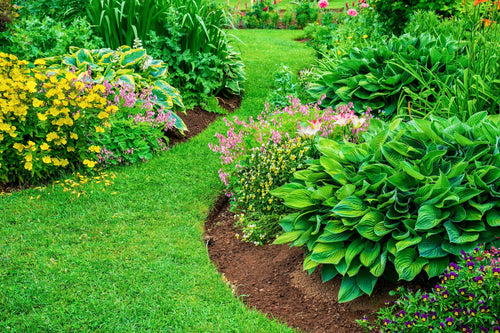Easy Steps to Create a Stunning New Garden Bed