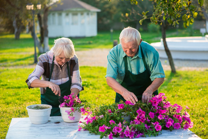5 Tips to Help You Keep on Gardening