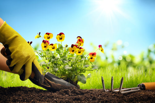 Spring Fever - 5 Things You Can Do Now To Get a Jump on Spring Gardening Season