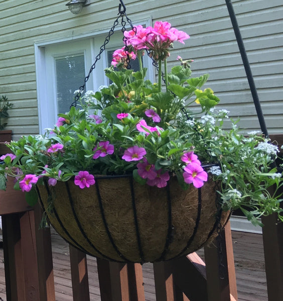 Container Gardening Recipes