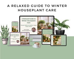 A Relaxed Guide to Winter Houseplant Care Workshop