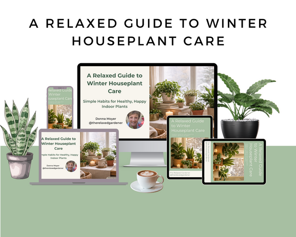 A Relaxed Guide to Winter Houseplant Care Workshop