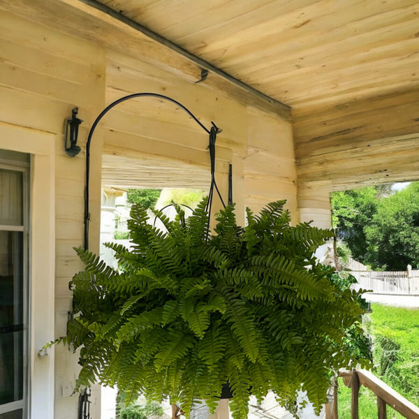 wrought iron free standing plant hanger 12" Wrought Iron Plant Hanger